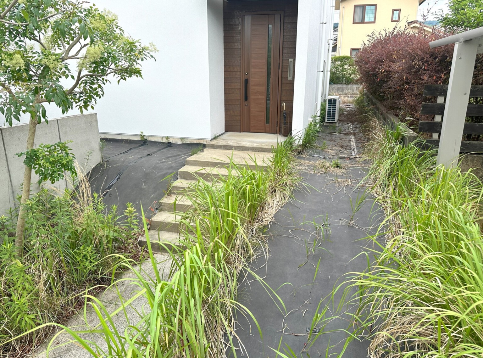 BEFORE